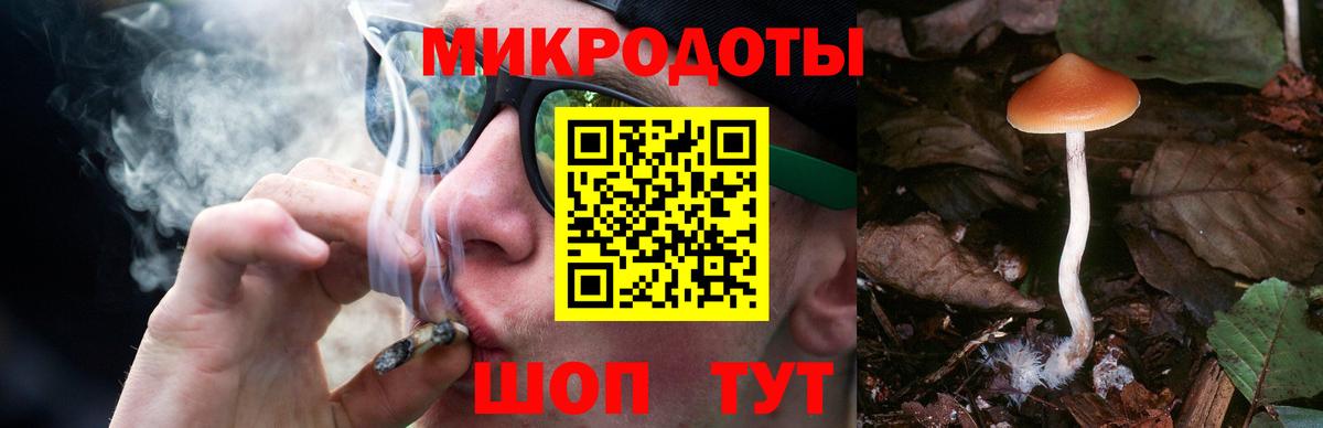 Дубна  Галлюциногенные грибы прущие грибы  Вход с VPN 