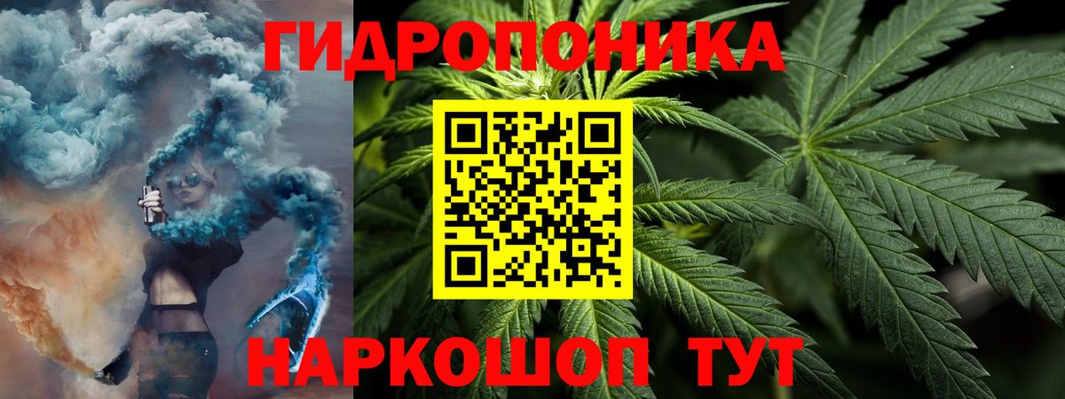 Конопля планчик Дубна